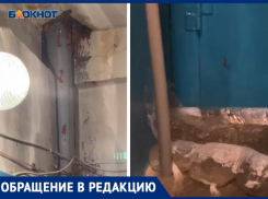 «Как дожди, мы уходим под воду»: волжане 3 года страдают от затопления