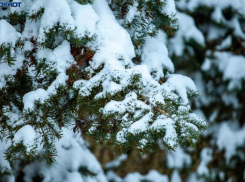 Мокрый снег ожидается в Волгоградской области
