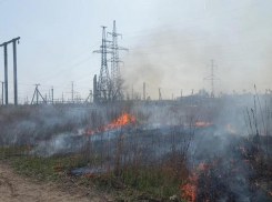 70 гектар сухостоя спалят в Волжском за весну 2024 года