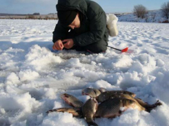 В Волгоградской области посоревнуются за звание лучшего рыбака