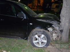 В Волжском пожилая автоледи на иномарке въехала в дерево