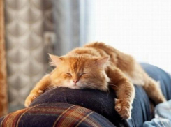 Губернатор региона Андрей Бочаров решил подарить волжанам дополнительный выходной