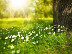 В среду ожидается переменная облачность