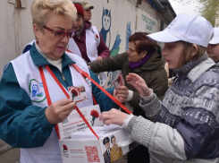 Акцию «Красная гвоздика» проведут в Волжском «серебряные» волонтеры