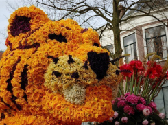 В Волжском состоится грандиозный фестиваль цветов