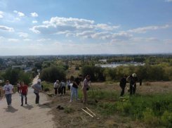 Юные экологи готовят Волжский к высадке деревьев