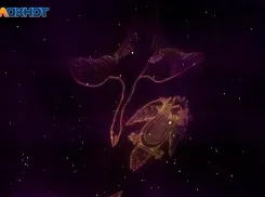 День благоприятен для нововведений: гороскоп на 9 января