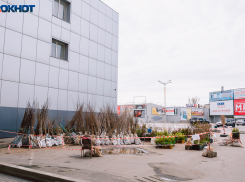 Ритуальные принадлежности и семена вошли в список товаров доступных для продажи в период самоизоляции
