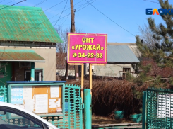 «Да вам может много что поступать, господа»: как председатель СНТ «Урожай» реагирует на жалобы