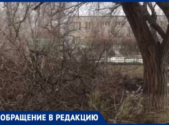 Волжане перепробовали все способы, но УК не спешит убирать ветки со двора