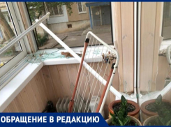 Дерево разбомбило квартиры: жители Волжского жаловались сухостой в прокуратуру и УК до ЧП