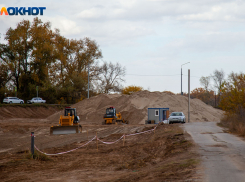 Под Волжским высадили саженцы на площади 30 гектаров