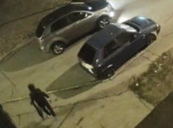 «В доме завелся ворюга старых ковров», - волжанин