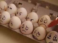 Предпринимателя оштрафовали в Волжском за неправильное хранение яиц