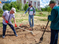 Волжский подготавливают к осенней акции по озеленению