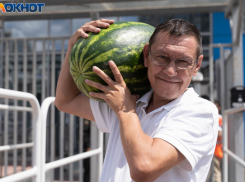 Нитраты, пестициды, тяжелые металлы и сальмонеллы: в Волжском проверили безопасность первых арбузов