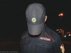 Волжские Росгвардейцы случайно задержали вора в федеральном розыске