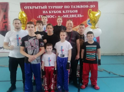 Турнир по тхэквондо ГТФ прошёл в Волжском