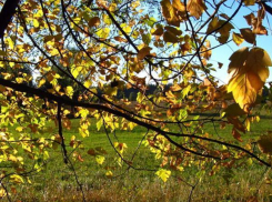 Погода в субботний денек обещает быть переменчивой