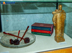 Волжане собирают книги для школьных библиотек ЛНР