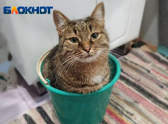 В старой части Волжского отключили холодную воду