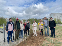 Субботники завершаются, а голосование за территории, планируемые к благоустройству, продолжается