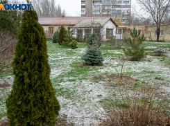 Утро порадует солнце: погода в Волжском