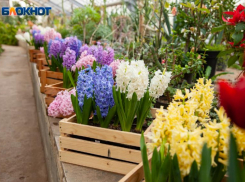 Прислушаться к своей интуиции советуют звезды волжанам: астрологический прогноз