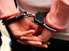 Волжанка не успела поживиться краденым