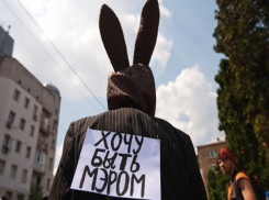 Депутаты Волжской думы оказались против кандидатов-старичков в мэры