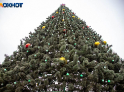 Вторая жизнь новогодних елок: Волжский включился в экологический «Елковорот»