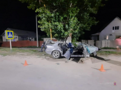 Скончался до приезда скорой: водитель BMW врезался в дерево после обгона в Волгоградской области