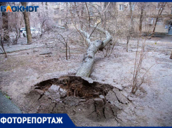 Волжский превратился в ледяной город из сказки: фоторепортаж 