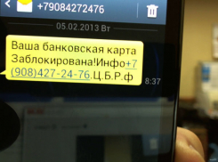 За минувшие сутки в Волгоградской области 10 пенсионеров стали жертвами мошенников