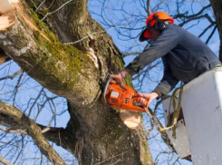 Власти Волжского решили готовиться к зиме в декабре