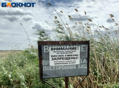 «Блокнот Волжский» сделал замеры воды из легендарного лимана –одном из самых загрязнённых водоёмов страны