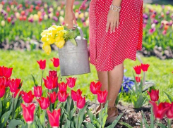 Самый зеленый: Волжский выделяет 850 тысяч на рассаду цветов