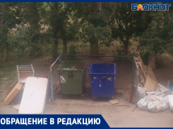 «Даже крысы появились»: волжанка жалуется на разлагающиеся отходы, которые никто не собирается убирать