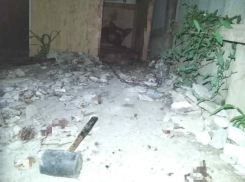 В Волжском женщина избила собаку вилами и киянкой: остановить ее удалось лишь полицейским