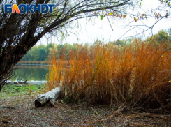 В Волго-Ахтубинской пойме стартовал региональный этап водного конкурса 
