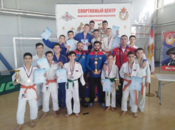 Волжане вернулись с турнира с наградами