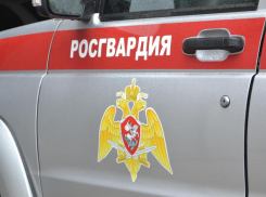 Подельники украли постельное белье и посуду из магазина в Волжском