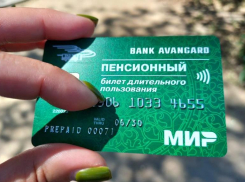 Большинство волжан высказались против введения электронных проездных