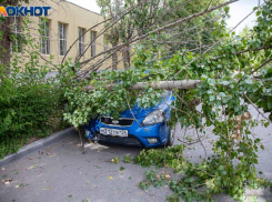 О грозовом шторме в Волгоградской области предупредило МЧС