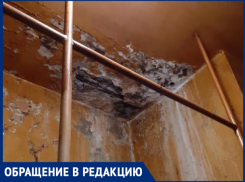 «Волжский противотуберкулезный диспансер - филиал Ада на Земле», - волжанка