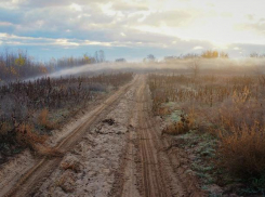 В  день участкового синоптики обещают облачную погоду
