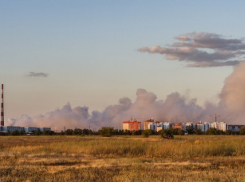 Ландшафтный пожар в Волжском охватил площадь в 5 гектаров