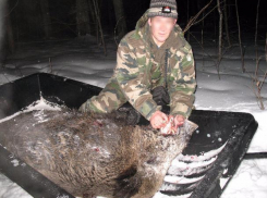 Житель Среднеахтубинского района соврал на суде, чтобы «отмазать» убийцу кабана 