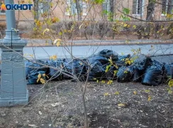 Волжскую молодежь приглашают изменить город к лучшему