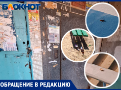 «Подъезд под управлением Лады-Дом кишит тараканами»: волжанин пожаловался на состояние подъезда